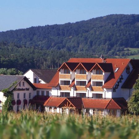 Wagners Fraenkischer Hof Altenkunstadt Eksteriør billede